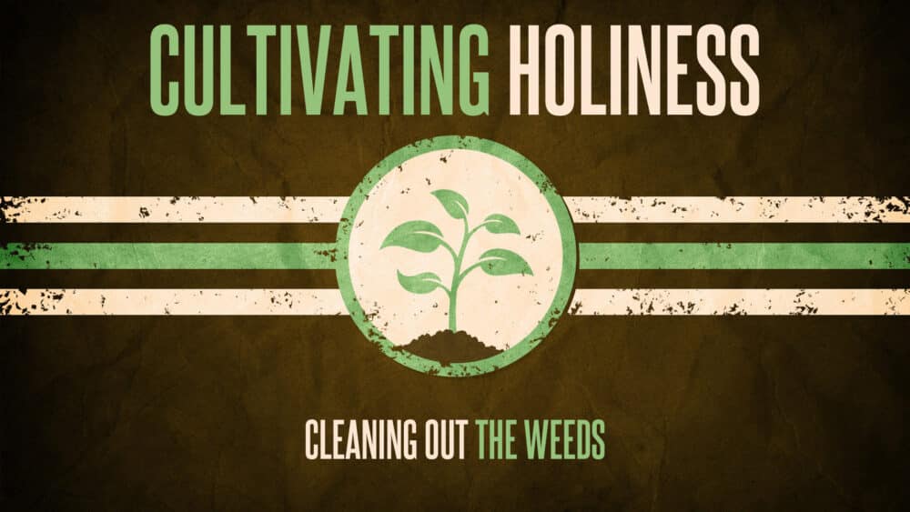 Cultivating Holiness: Cleaning Out the Weeds