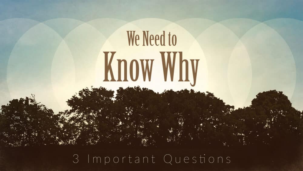 We Need to Know Why