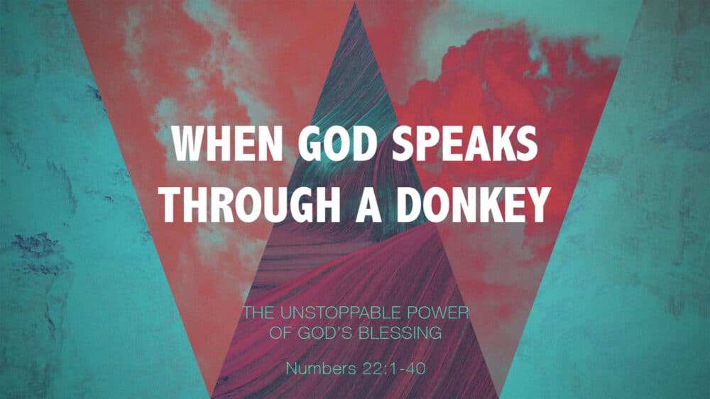 When God Speaks Through a Donkey (Lessons in Divine Guidance)