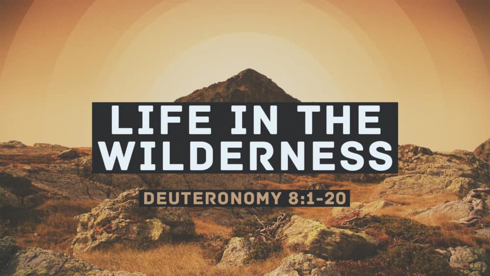 Life in the Wilderness