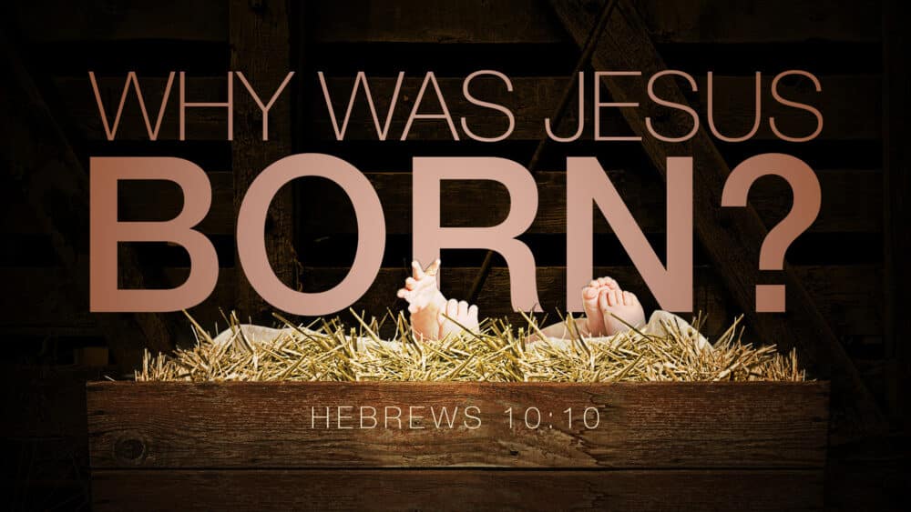 Why Was Jesus Born?
