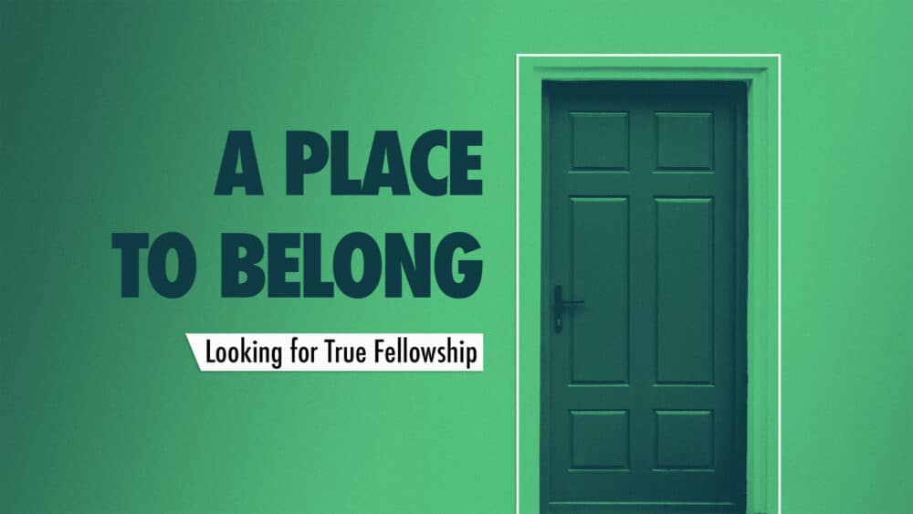 A Place to Belong: Looking for True Fellowship