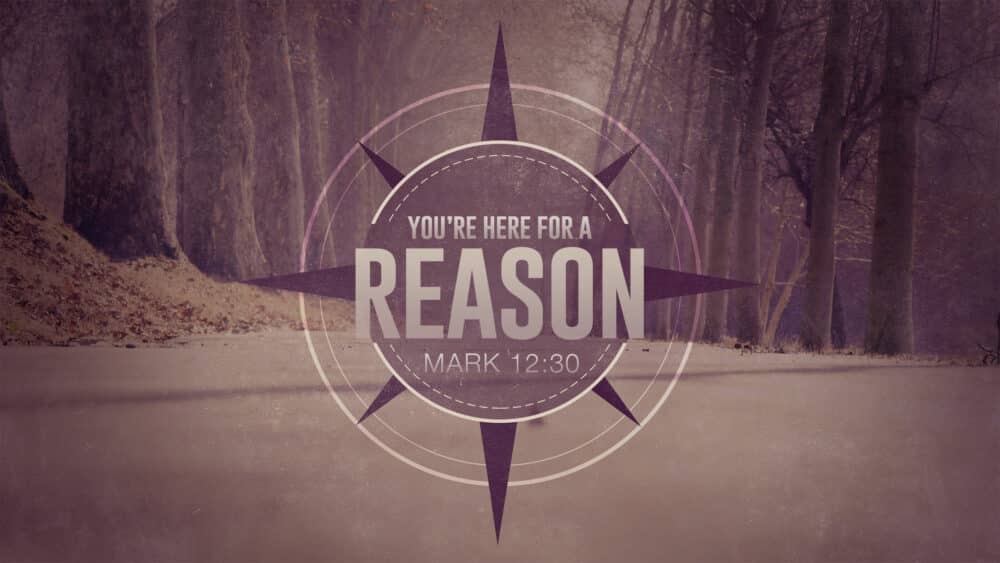 You\'re Here for a Reason!