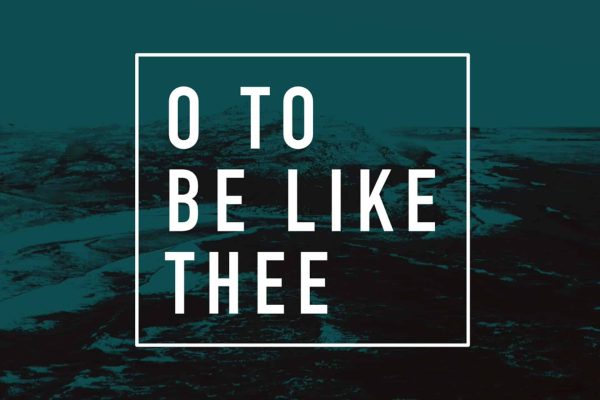 6ec694_ef368c572ad3431a82d13bbf0360bdec~mv2