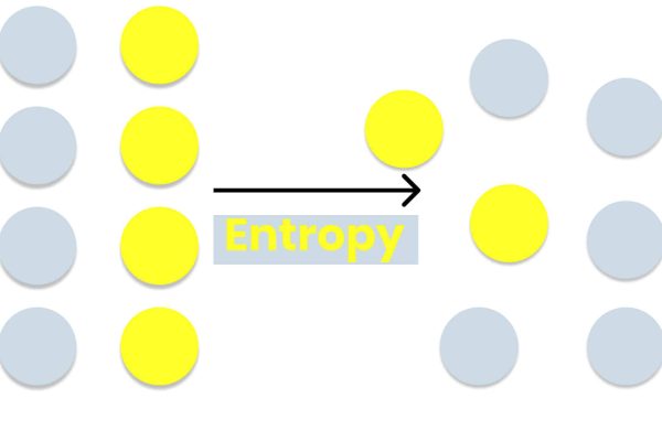 Entropy