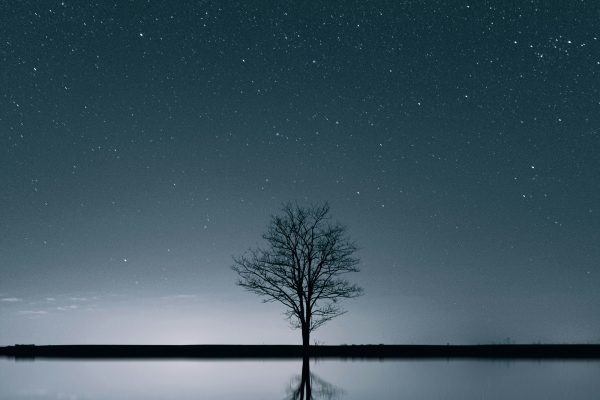 daniel-barczikay-byNcAVLgs9w-unsplash