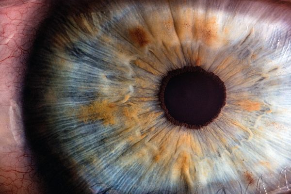 v2osk-In4XVKhYaiI-unsplash